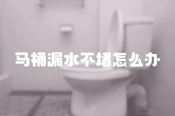 馬桶漏水不堵怎么辦