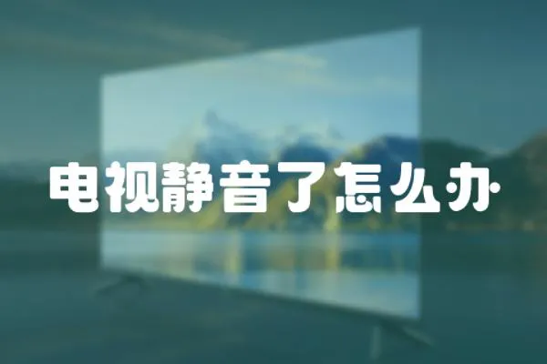 電視靜音了怎么辦