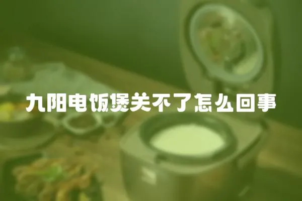 九陽電飯煲關不了怎么回事