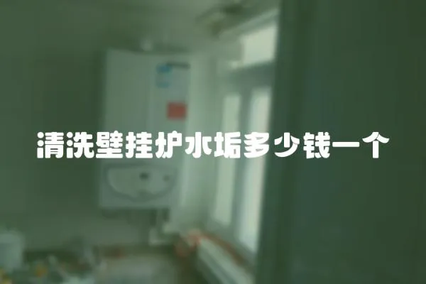 清洗壁掛爐水垢多少錢一個
