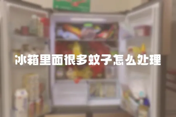 冰箱里面很多蚊子怎么處理