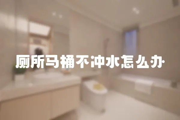 廁所馬桶不沖水怎么辦