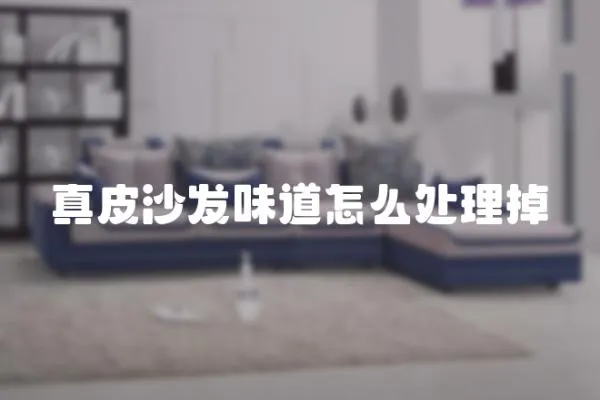 真皮沙發(fā)味道怎么處理掉