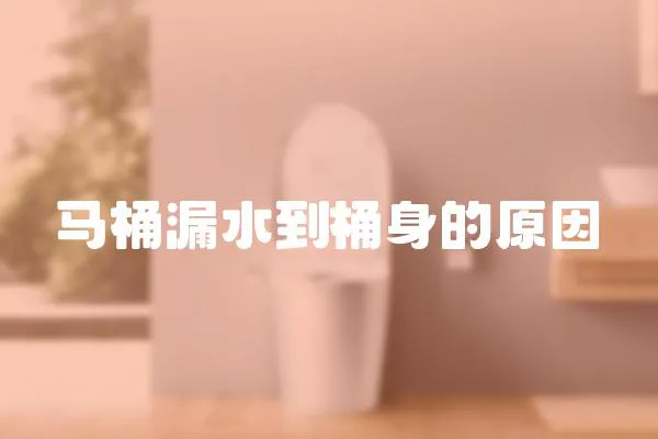 馬桶漏水到桶身的原因
