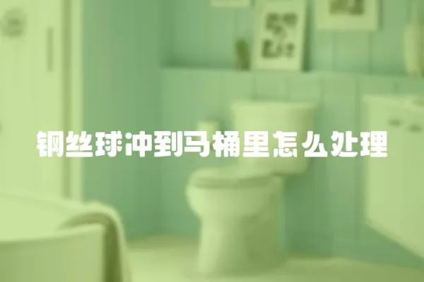 鋼絲球沖到馬桶里怎么處理