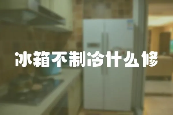 冰箱不制冷什么修