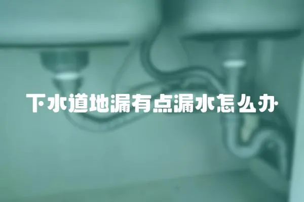 下水道地漏有點漏水怎么辦