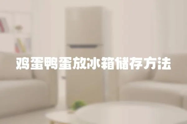 雞蛋鴨蛋放冰箱儲存方法