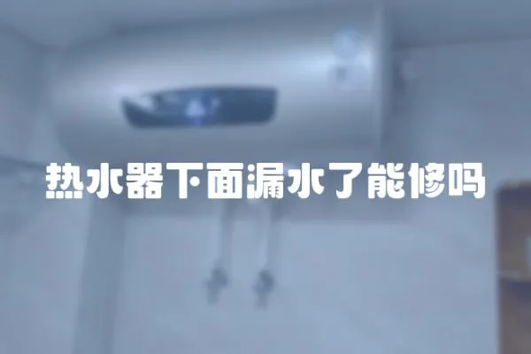 熱水器下面漏水了能修嗎
