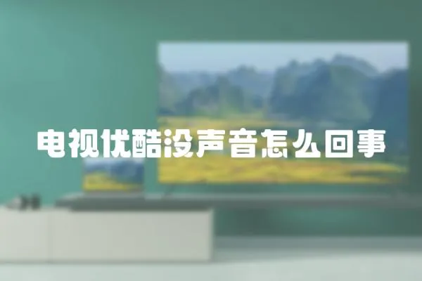 電視優酷沒聲音怎么回事