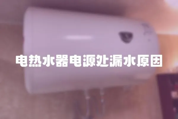 電熱水器電源處漏水原因