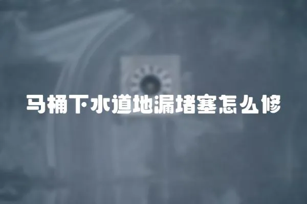 馬桶下水道地漏堵塞怎么修