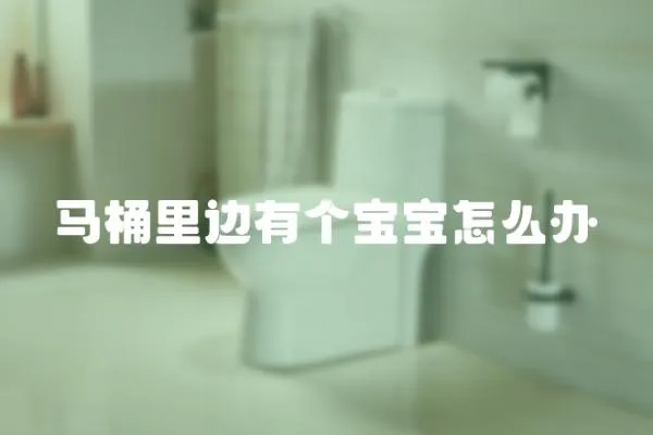 馬桶里邊有個(gè)寶寶怎么辦