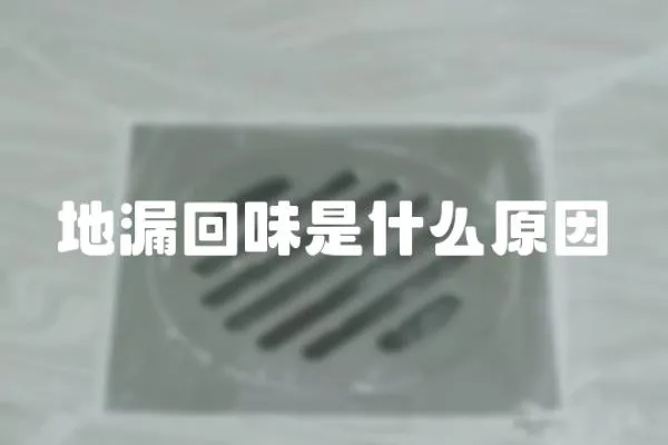 地漏回味是什么原因
