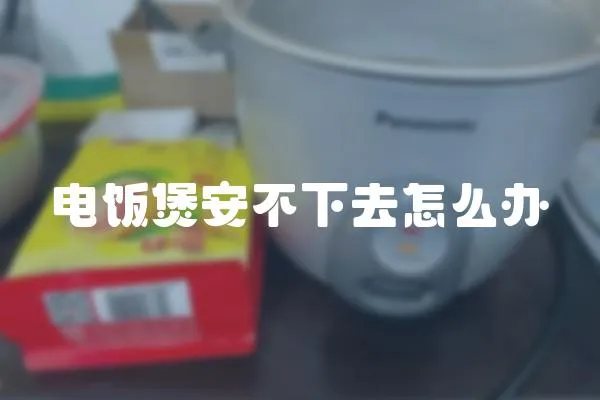 電飯煲安不下去怎么辦