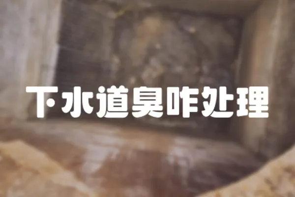 下水道臭咋處理