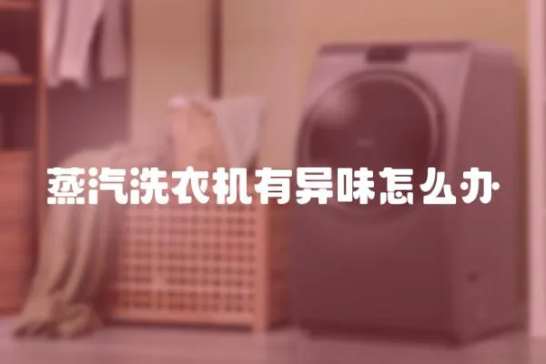 蒸汽洗衣機有異味怎么辦