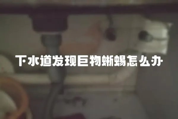 下水道發現巨物蜥蜴怎么辦