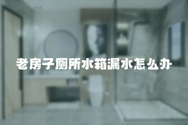 老房子廁所水箱漏水怎么辦