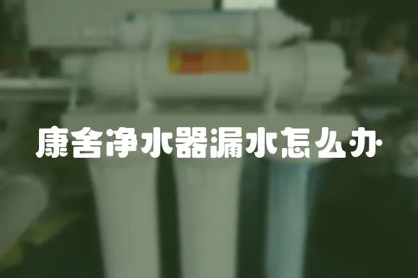 康舍凈水器漏水怎么辦