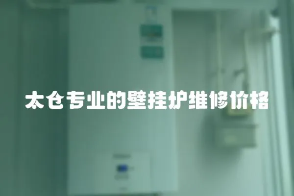 太倉(cāng)專業(yè)的壁掛爐維修價(jià)格