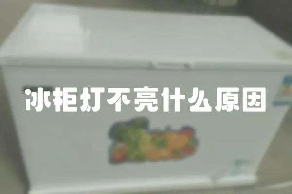 冰柜燈不亮什么原因