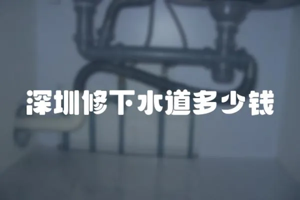 深圳修下水道多少錢