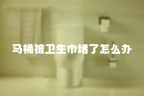 馬桶被衛生巾堵了怎么辦