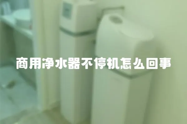 商用凈水器不停機怎么回事
