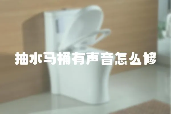 抽水馬桶有聲音怎么修
