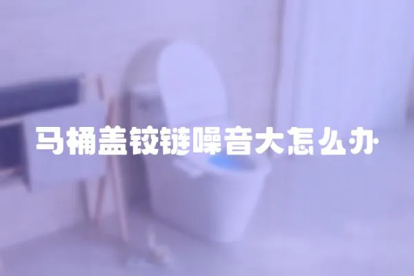 馬桶蓋鉸鏈噪音大怎么辦