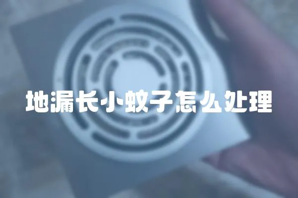 地漏長(zhǎng)小蚊子怎么處理