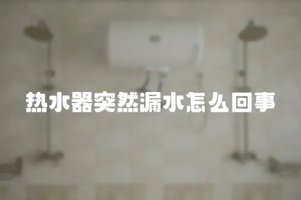 热水器突然漏水怎么回事