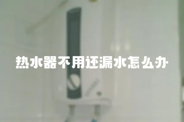 熱水器不用還漏水怎么辦