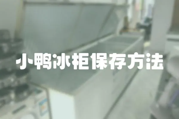 小鴨冰柜保存方法