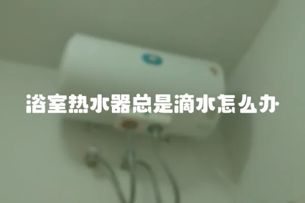 浴室熱水器總是滴水怎么辦