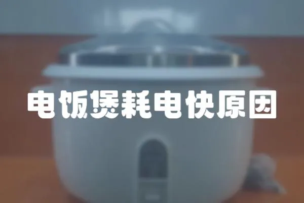 電飯煲耗電快原因