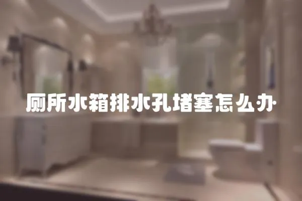 廁所水箱排水孔堵塞怎么辦