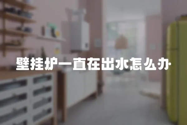 壁掛爐一直在出水怎么辦