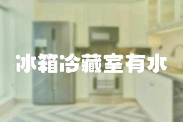 冰箱冷藏室有水