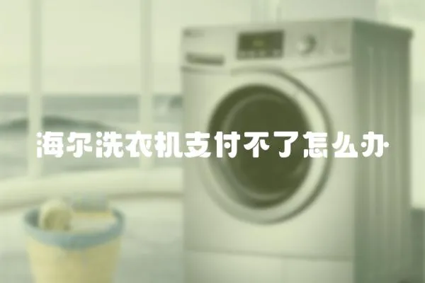海爾洗衣機(jī)支付不了怎么辦