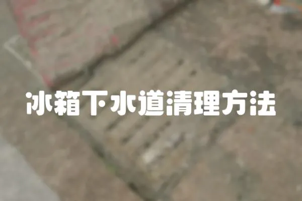 冰箱下水道清理方法