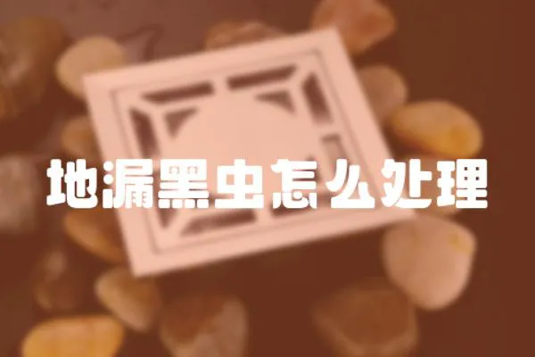 地漏黑蟲怎么處理