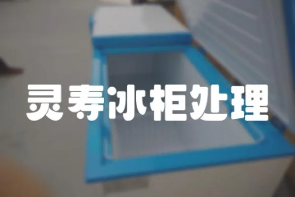 靈壽冰柜處理