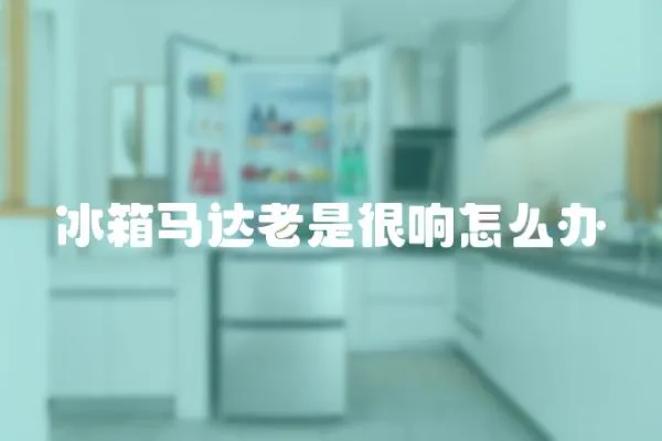冰箱馬達老是很響怎么辦