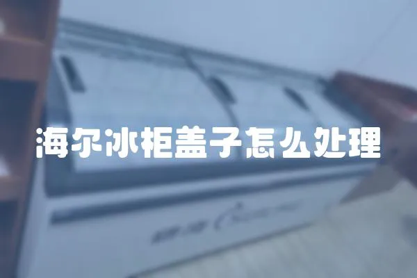 海爾冰柜蓋子怎么處理