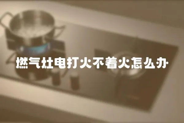 燃?xì)庠铍姶蚧鸩恢鹪趺崔k