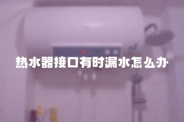 熱水器接口有時(shí)漏水怎么辦