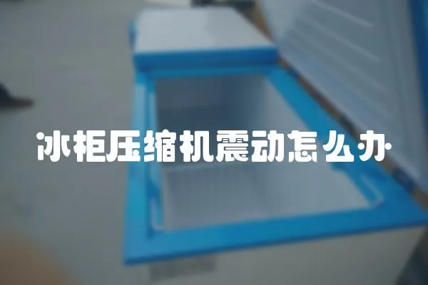 冰柜壓縮機(jī)震動(dòng)怎么辦