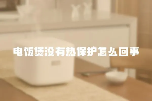 電飯煲沒有熱保護怎么回事